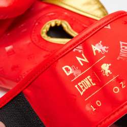 Luvas de boxe DNA Leone GN220 vermelho 4